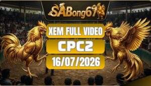 Tổng Hợp Video Đá Gà CPC2 Ngày 16/07/2026 Tại SABONG67