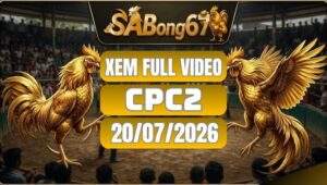 Tổng Hợp Video Đá Gà CPC2 Ngày 20/07/2026 Tại SABONG67