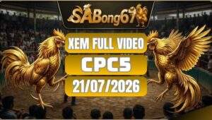 Tổng Hợp Video Đá Gà CPC5 Ngày 21/07/2026 Tại SABONG67