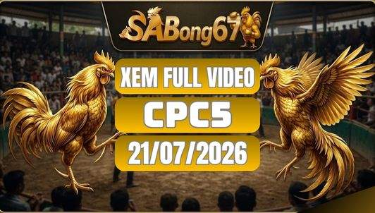 Tổng Hợp Video Đá Gà CPC5 Ngày 21/07/2026 Tại SABONG67