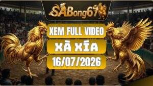 Tổng Hợp Video Đá Gà Xà Xía Ngày 16/07/2026 Tại SABONG67
