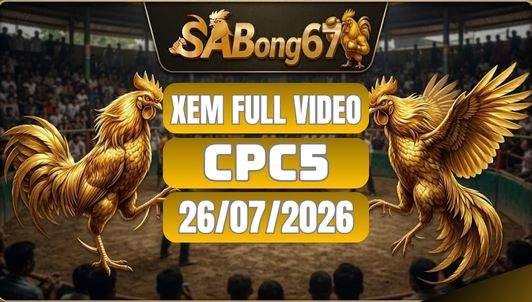 Video Đá Gà CPC5 – Tổng Hợp 26/07/2026 Tại SABONG67