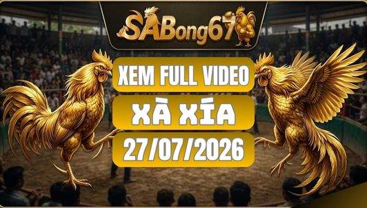 Video Đá Gà Xà Xía – Tổng Hợp 27/07/2026 Tại SABONG67